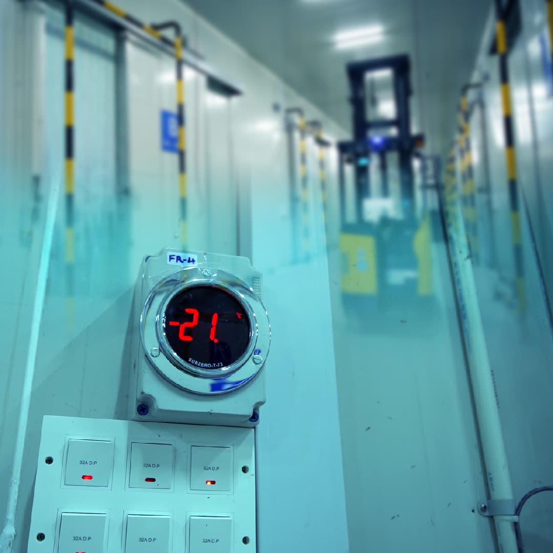 Cold Chain Storage